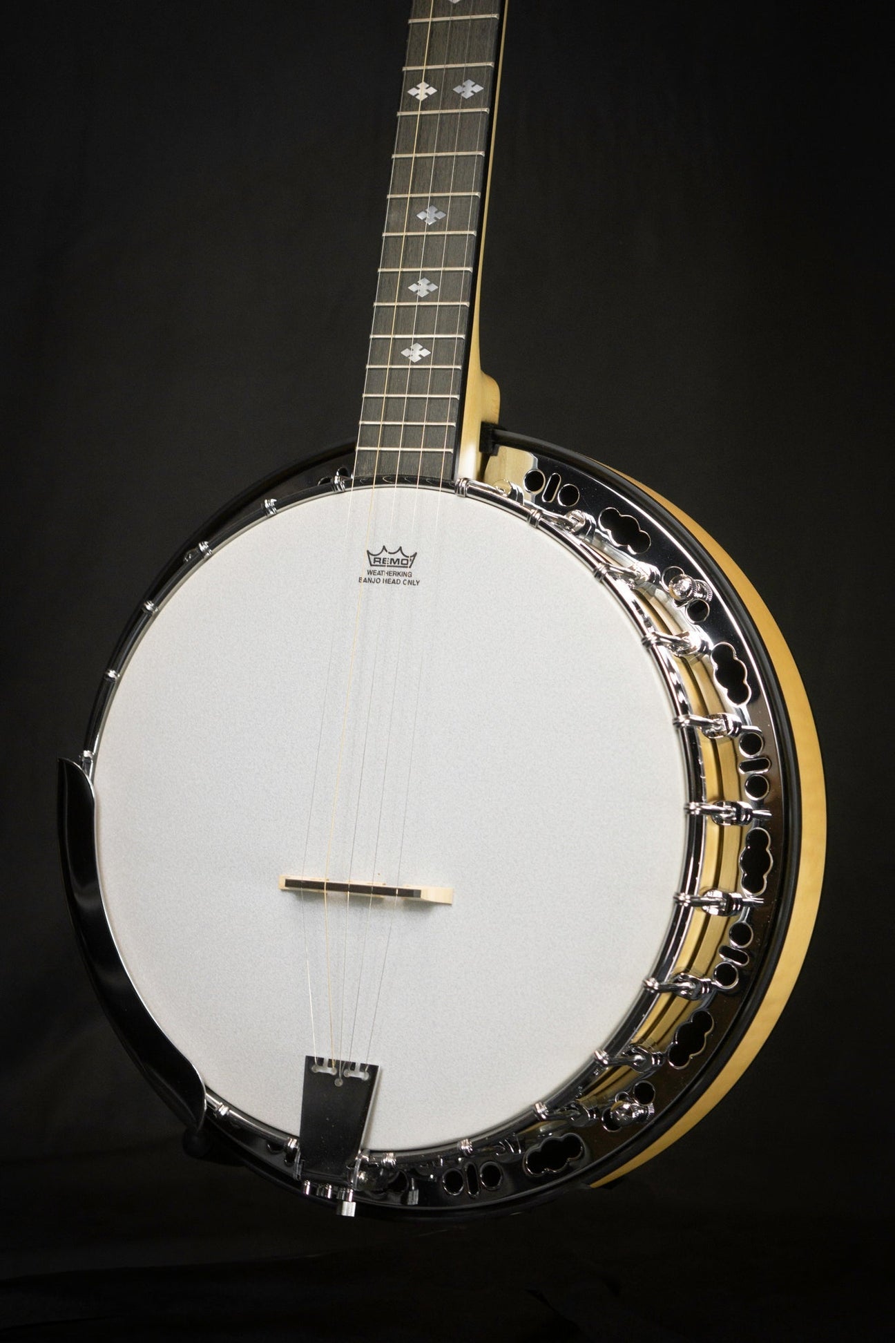 5 String Banjos - WM Guitars