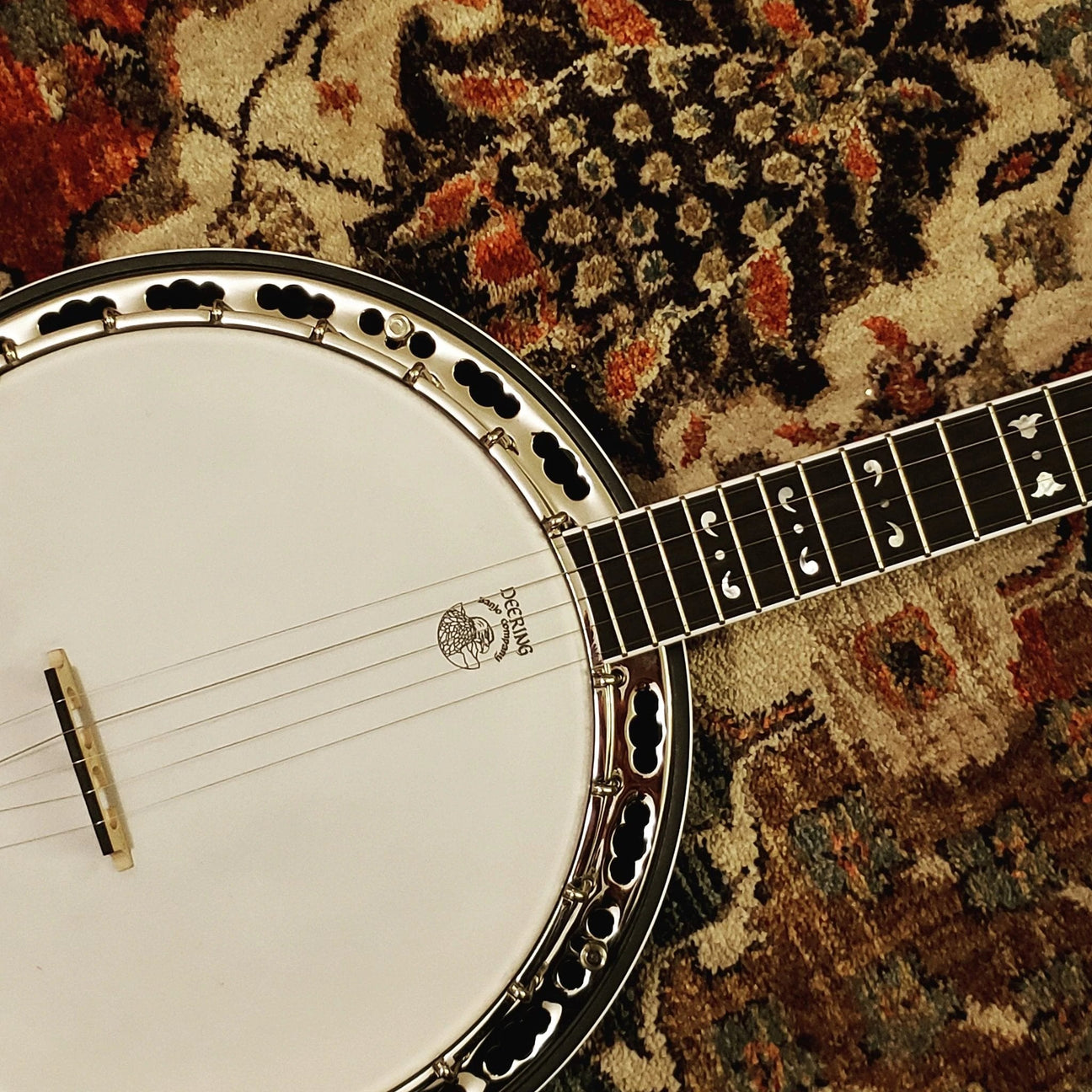 All Banjos - WM Guitars