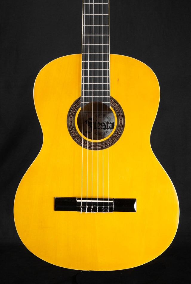 Aria FST-200 Fiesta Full Size Classical Starter Guitar - Classical Guitars - Aria