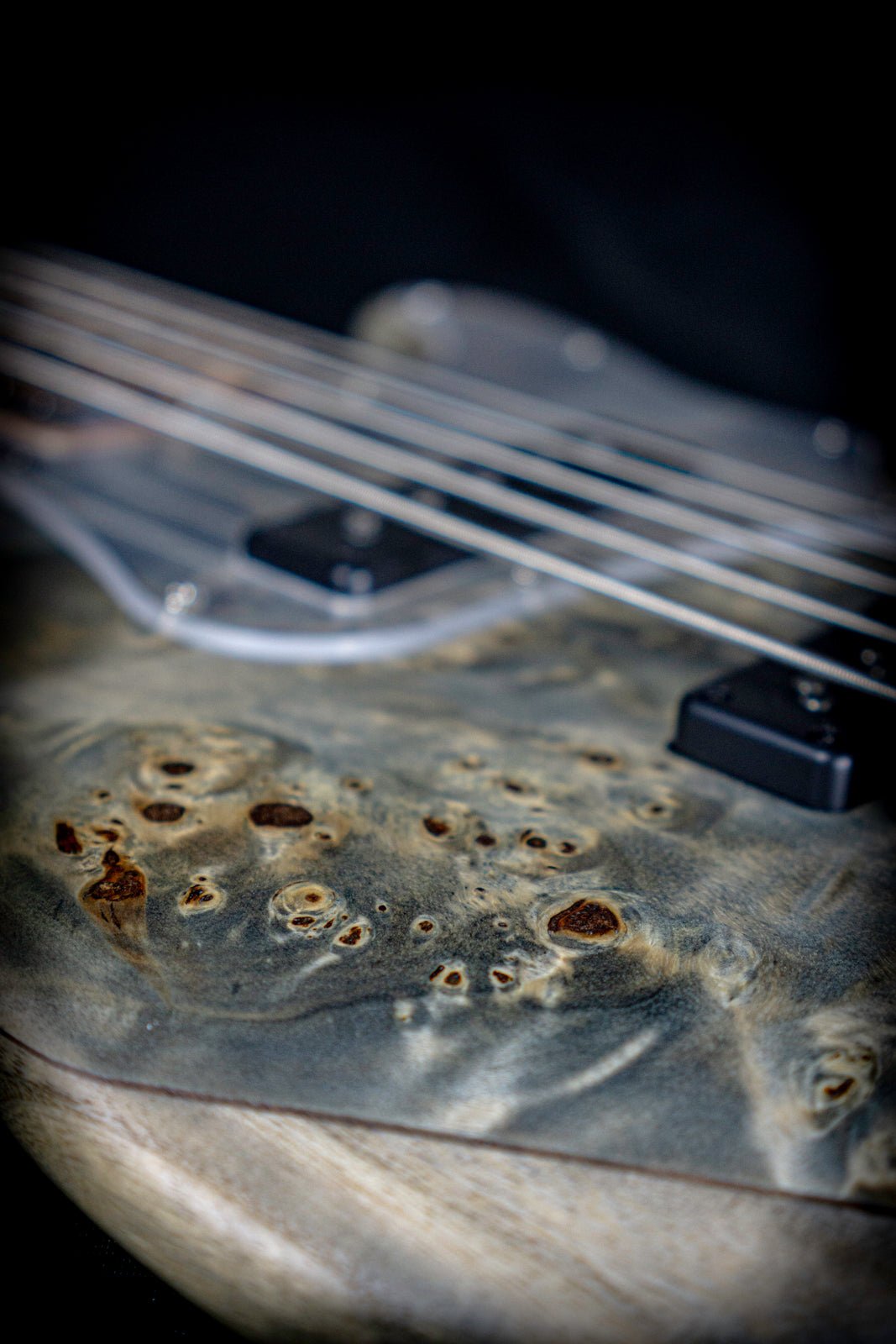 Cort GB Modern 5 - Charcoal Grey Burl - Bass Guitars - Cort
