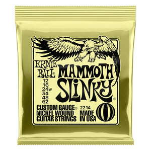 Ernie Ball Slinky Electric Guitar Strings - Strings - Ernie Ball