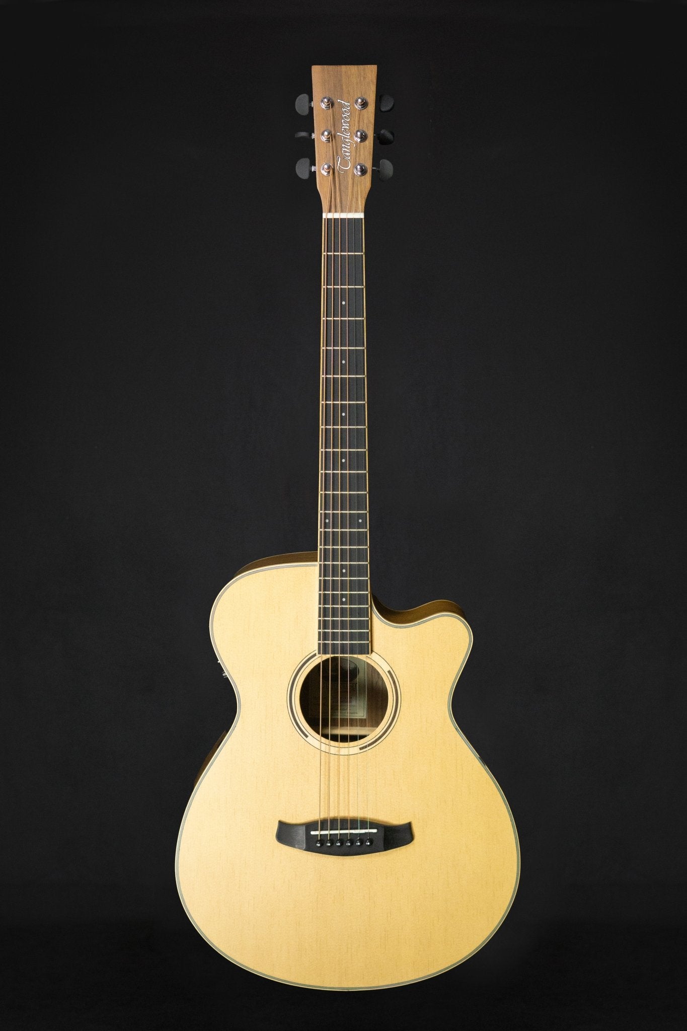 WM Guitars Tanglewood DBT SFCE BW Electro Acoustic Guitar