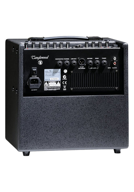 Tanglewood T6 Acoustic Amp + TXS T6 Extension Cab | CLEARANCE SALE - Amps - Tanglewood