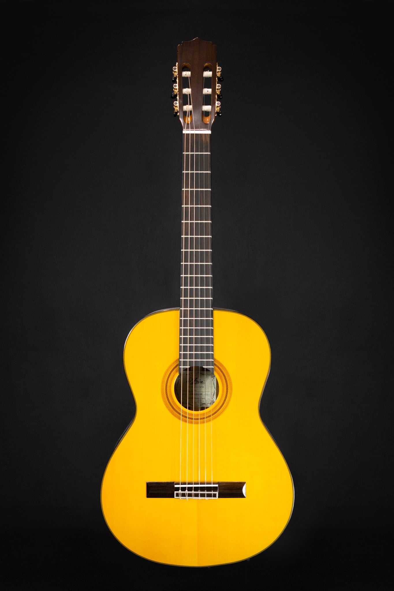 WM Guitars | Aria A-30S Classical Guitar